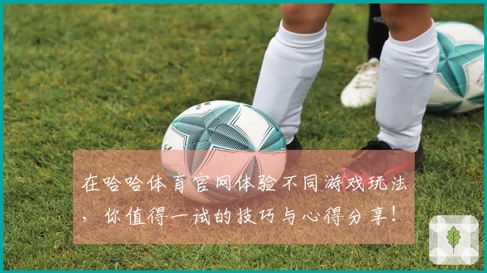 在哈哈体育官网体验不同游戏玩法，你值得一试的技巧与心得分享！