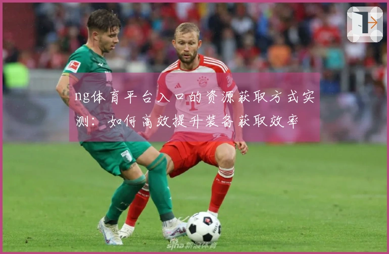 ng体育平台入口的资源获取方式实测：如何高效提升装备获取效率